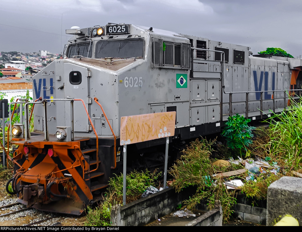 VLI 6025